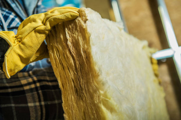 Best Types of Insulation in Belleair Beach, FL